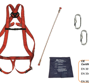 Kit harnais 10 Basic Plus